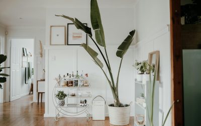 The Pros and Cons of Wooden Floor Restoration in Auckland