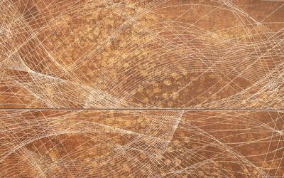 Scratches on Timber Flooring: Can They Be Repaired, or Do You Need Restoration?