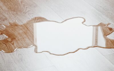 Can Water-Damaged Wood Floors Be Saved?